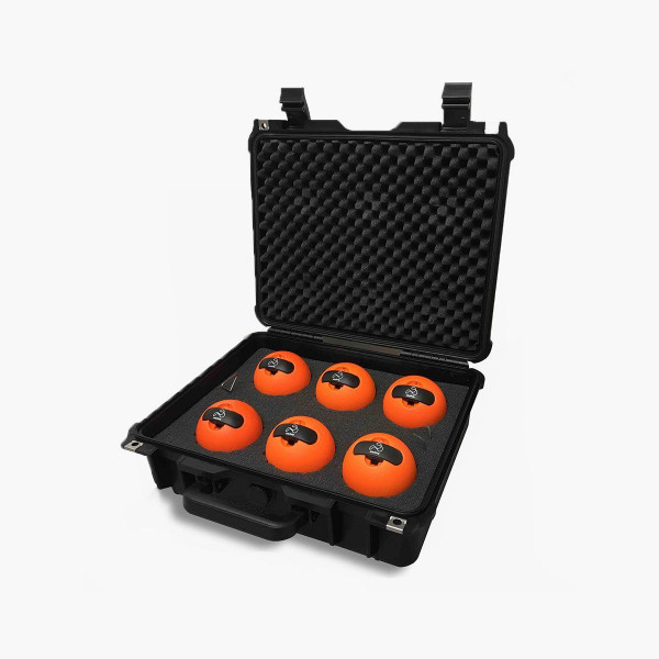 Playfinity SmartBall™ Team Case